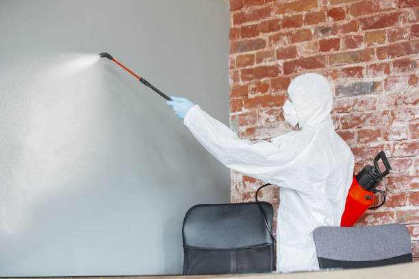 Trusted Kings Park West, VA Mold Removal Experts